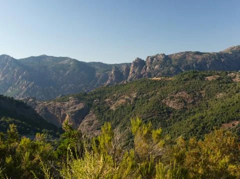 Light effects on rocks and forests in the mountains Stock Photos