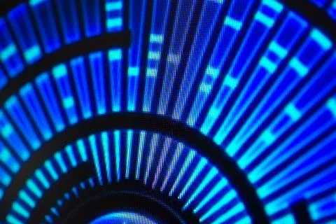 Light emitting diodes for LED display. Digital LED screen background Stock Photos