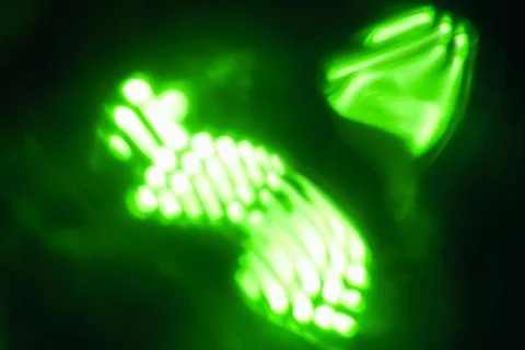 Light emitting diodes Stock Photos