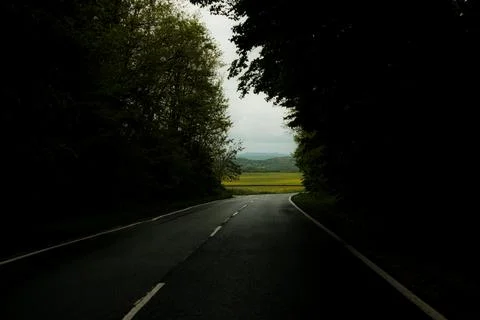 Light in the end of the road from a forest. Stock-Fotos