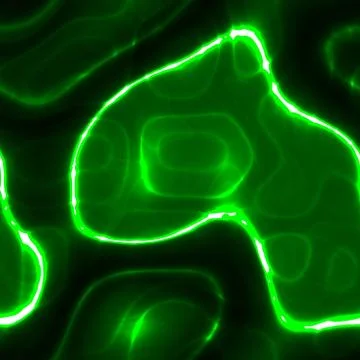 Light endless green marble background in deep colors, bright green stains イラスト素材
