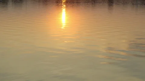 The light of the evening sun that is about to fall in the middle of the water Vidéo 227865631