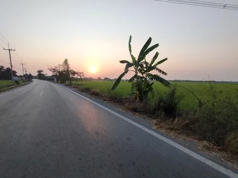 Light Evening sun Stock Photos