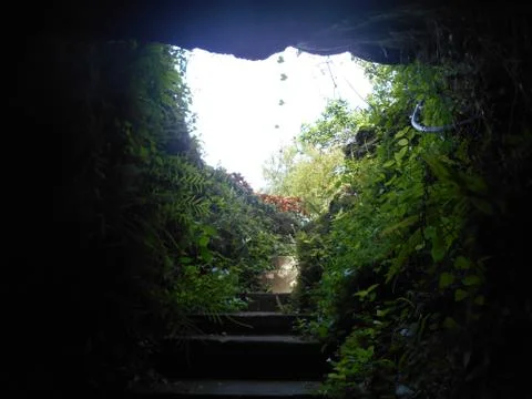 Light at the exit of a rain forest underground tunnel Stock Photos
