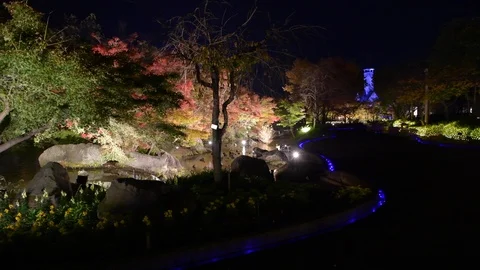 Light up fall foliage at Nabana No Sato park. Panning shot. Stock Footage 118100558