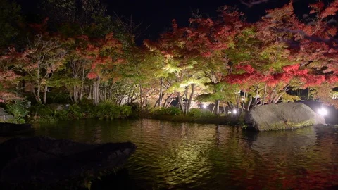 Light up fall foliage reflecting in the water. Panning. Stock Footage 118096449
