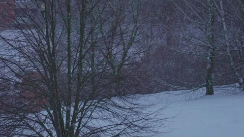 Light falling snow Stock Footage 327901879