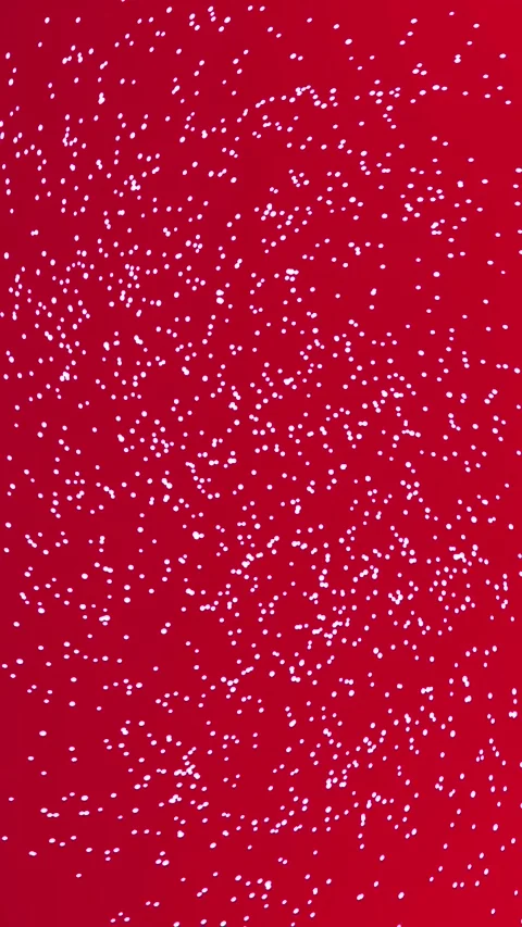 Light Fancy Abstract Red Glitter Smooth Organic Flows Vertical Stock Footage 310349002