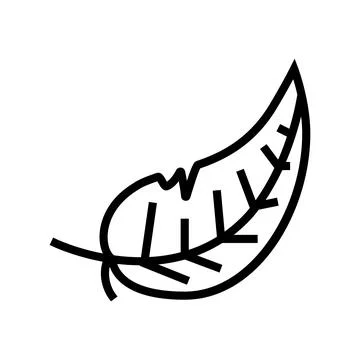 Light feather soft fluffy line icon vector illustration Illustrazione stock
