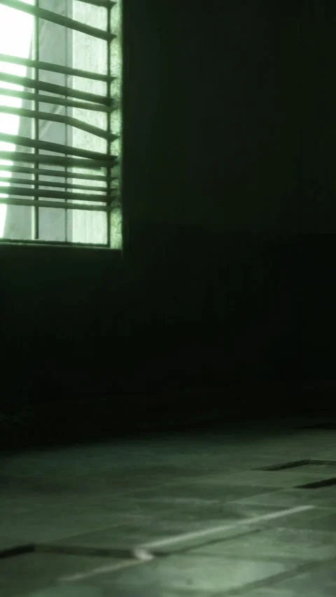 Light filtering through blinds in a dark room during the day Stock Footage 338003887