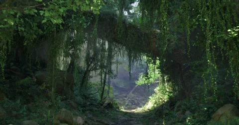 Light filtering through a lush forest canopy near a rocky path in the morning Illustrazione stock