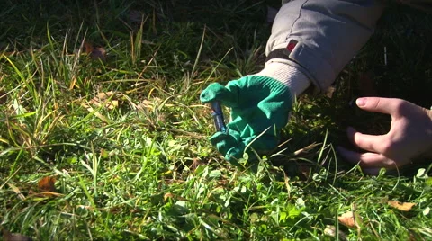Light a fire with gum foil and penlight batteries, get smoke, forest survival Stock Footage 63211598