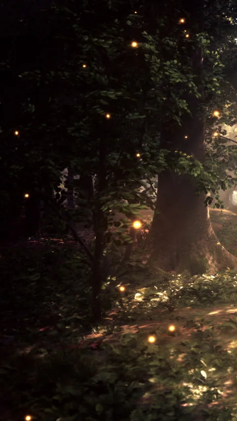 Light from fireflies fills the forest path during evening hours Stock Footage 342186402