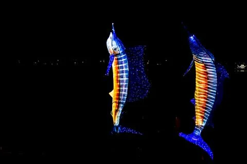 Light Up Fish Stock Photos