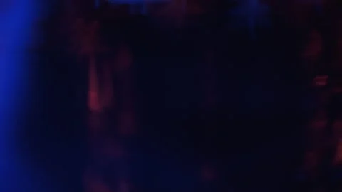 Light flare overlay pine tree pattern color glow Stock Footage 214021799