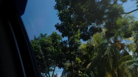Light flickers through car window in Bali, Indonesia. Stock Footage 93339281