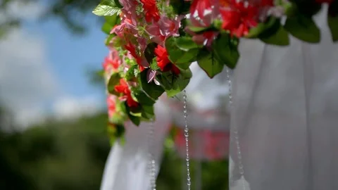 Light flower tent decorative wedding entourage Stock Footage 222297130