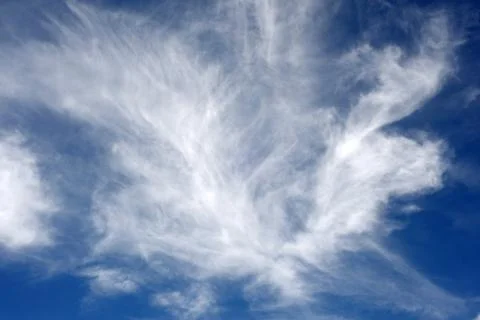 Light fluffy clouds Stock Photos