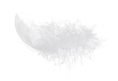 Light fluffy feather isolated on white background. Stock Photos