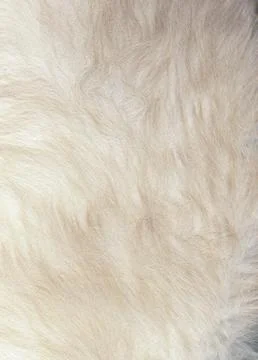 Light fluffy fur texture as background Stock Photos