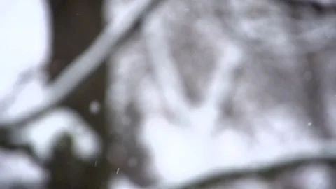 Light Flurries blurred background Stock Footage 83627790