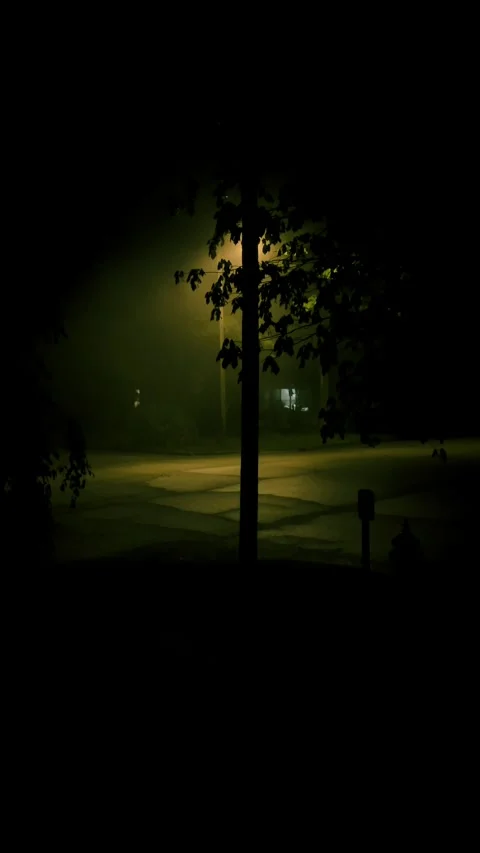 Light in the fog Stock Footage 279520715