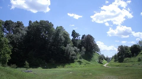 Light fresh wind blowing through the trees. Summertime, bright sunshine Stock Footage 99310733
