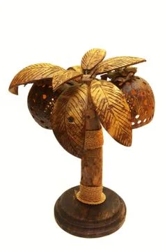 Light from the fruit of coconut Stock Photos