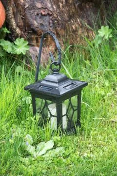 Light in the garden Stock Photos