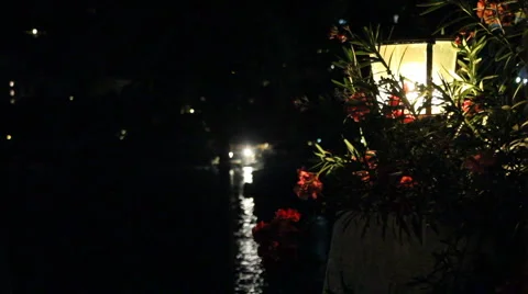 Light glowing on flowers at night Video stock 1071386