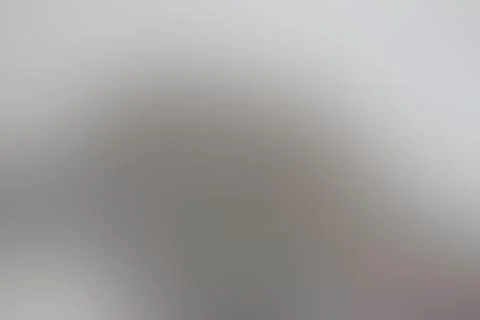 Light gray abstract background Stock Photos