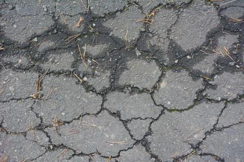 Light gray asphalt with cracks texture for design. Stock Photos