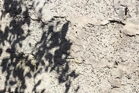 Light Gray rough wall background with tree leaves shadows Stock Photos