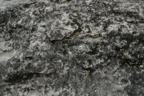 Light Gray Speckled Granite Rough Surface Background for Text and Graphics .. Stock Photos