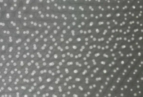 Light Gray vector background with bubbles. Stock Illustration