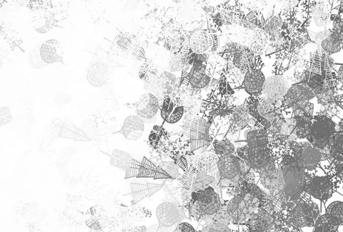 Light Gray vector doodle pattern with trees, branches. 스톡 일러스트