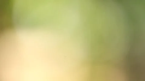 Light Green Abstract Blur Background with Soft Gradient Glow Stock Footage 325476624