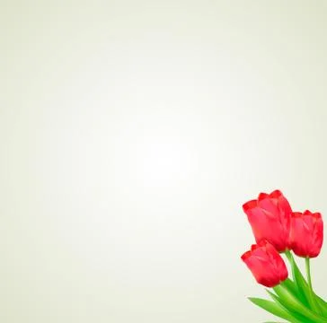 Light green background with bunch of pink tulips Stock Illustration