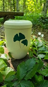 A light green biodegradable urn with two green leaves for Friedwald burial Stock Photos