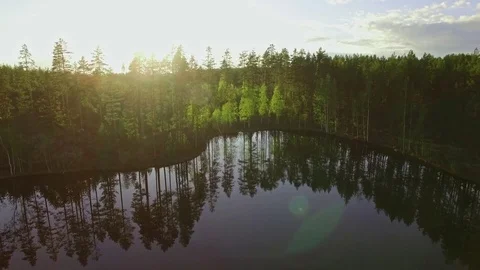 Light green birch trees at a winding shore of a lake Stock Footage 83251702