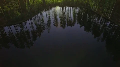 Light green birch trees at a winding shore of a lake Stock Footage 83257795