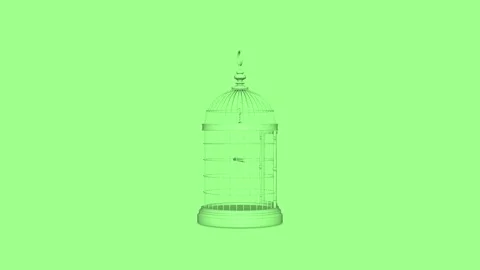 Light Green Birdcages 스톡 동영상 145763546