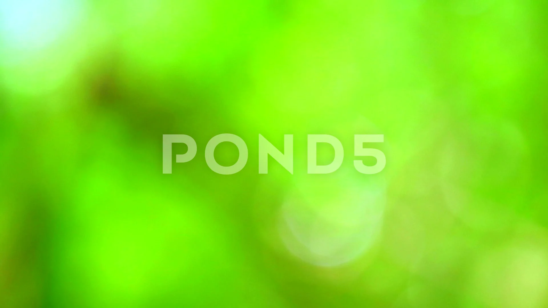 Green Tree Blur Background Stock Footage ~ Royalty Free Stock Videos | Pond5