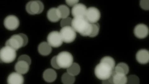 Light green bokeh and particles abstract on black background. HD footage. Stock Footage 280920991