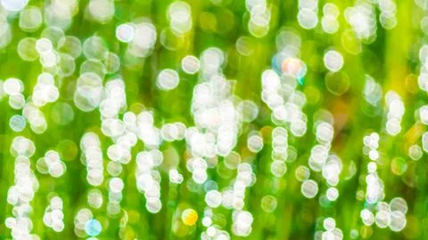 Light green bokeh defocused background Stock Photos