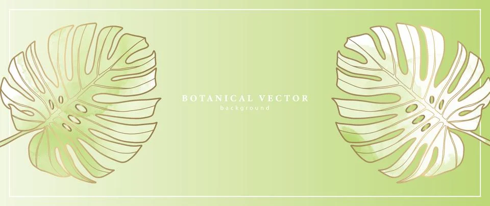 Light green botanical vector background with watercolor monstera leaves Stock Illustration