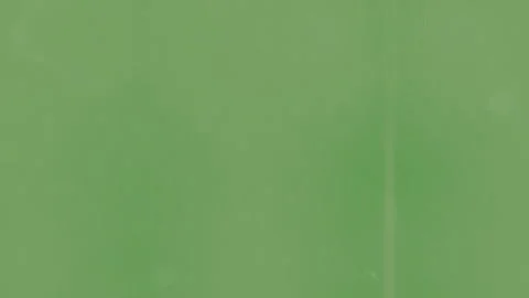 Light green grain texture perfect background Stock Footage 270391871