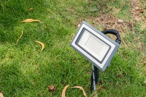 Light on a green grass Stock Photos