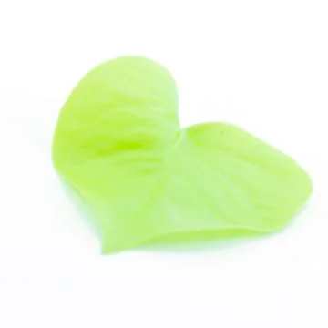 Light green leaf in heart shape Stock Photos