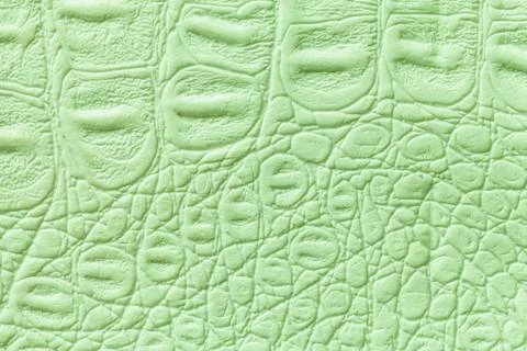 Light green leather texture background, closeup. Reptile skin, macro. Foto stock